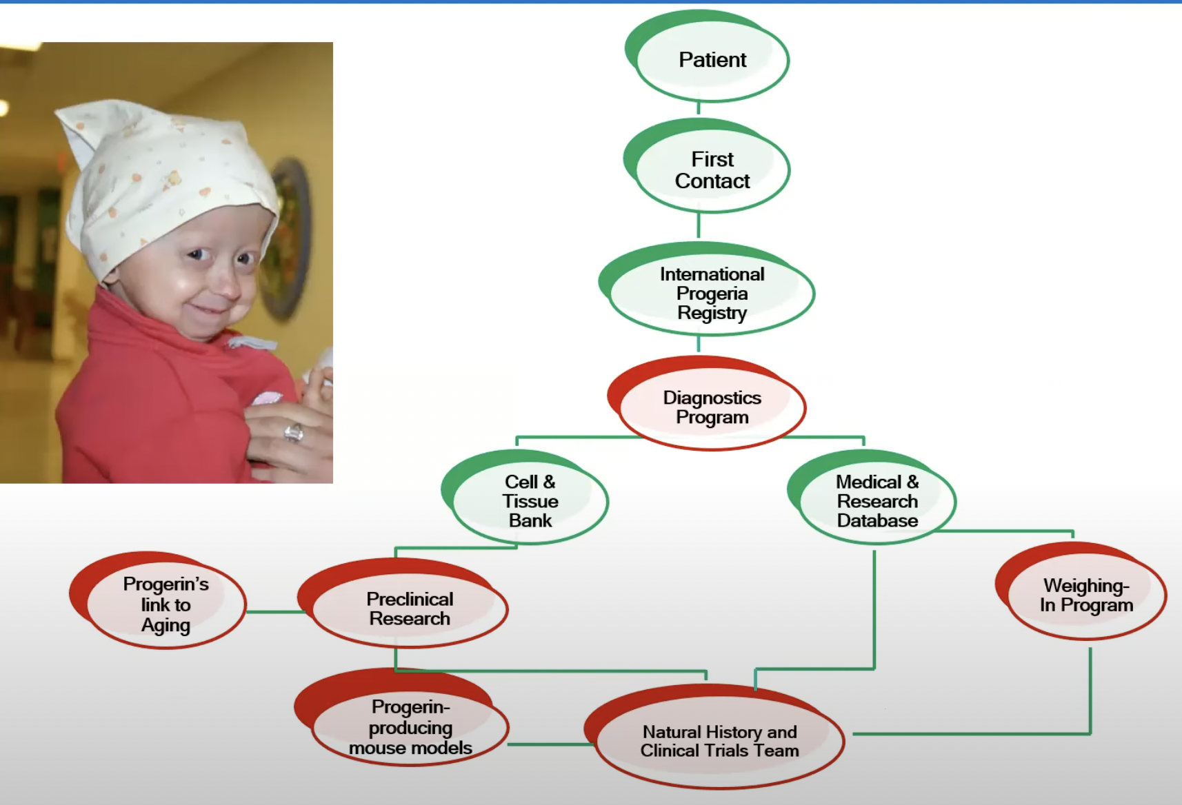 Progeria's path to a treatment. Red = steps that could be taken only once the gene was identified. (c) Progeria Research Foundation